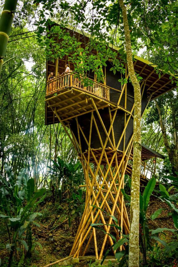 Eco Hotel Hacienda El Diamante Buga Exterior foto